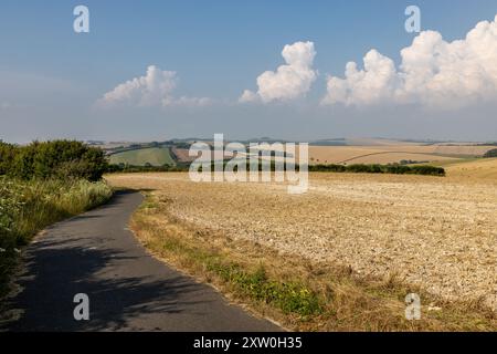 Una pista ciclabile che costeggia terreni agricoli tra Falmer e Woodingdean nel Sussex Foto Stock