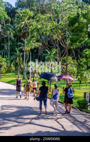 I visitatori camminano lungo una strada che attraversa i giardini botanici di Penang, Pulau Pinang, Malesia. Foto Stock