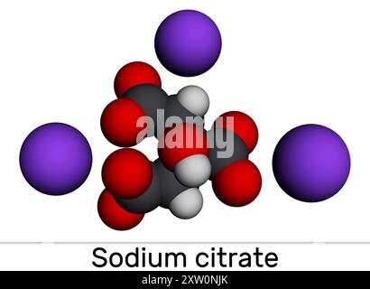 Citrato di sodio o molecola di citrato di trisodio. Agente aromatizzante, additivo alimentare e anticoagulante. Modello molecolare. Rendering 3D. Illustrazione Foto Stock