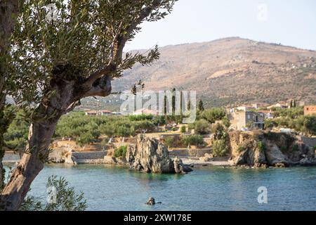 Vista panoramica di un tradizionale villaggio isolano greco annidato tra oliveti, con le acque azzurre del mare egeo in primo piano Foto Stock