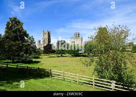 Ely Cathedral vista dal parco, Ely, Cambridgeshire, Inghilterra, Regno Unito Foto Stock