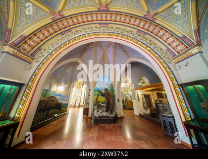 07.13.24. Budapest, Ungheria. L'interno del castello Vajdahunyad a Budapest. In una delle sale è allestita una mostra del Museo dell'Agricoltura Foto Stock