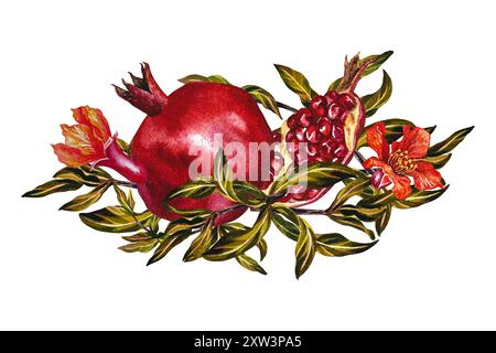 Melagrana frutta e fiori su un ramo. Melograno nella sezione. Illustrazione ad acquerello realizzata a mano. Per etichette, confezioni. Per le cartoline, f Foto Stock