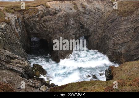 Grotte Marine e gli archi a Dungeon Parco Provinciale vicino Bonavista, Terranova, Canada Foto Stock