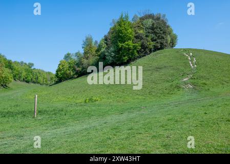 Sentiero che si unisce a breve alla Monarch's Way e che si dirige a nord attraverso Arundel Park - Arundel, South Downs National Park, West Sussex, Regno Unito. Foto Stock