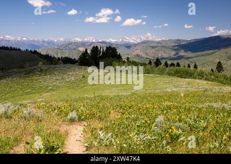 L'Elk Ridge Trail si snoda lungo la cresta della cresta mentre le Teton Mountains si innalzano in lontananza. Bridger-Teton National Forest, Wyoming Foto Stock