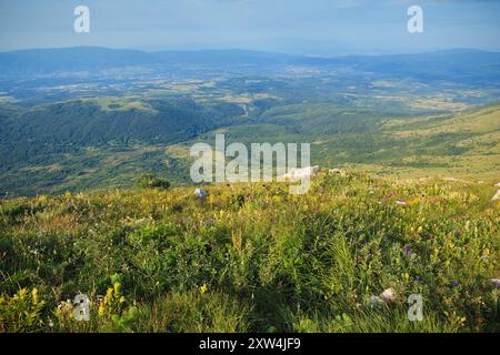 Una vista aerea mozzafiato dalla vetta del monte Šiljak, che mostra il lussureggiante paesaggio di Rtanj, Serbia. Foto Stock