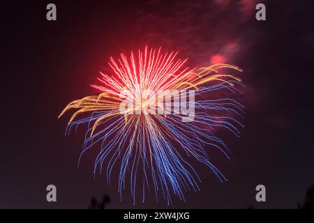 Fuochi d'artificio del giorno dell'indipendenza con effetti di movimento. Foto Stock