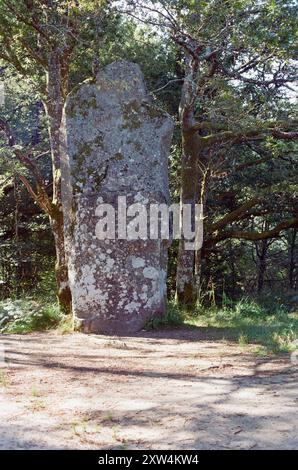 Menhir du Ceinturat. Pietra stazionaria neolitica alta 5,1 metri e stimata a oltre 20 tonnellate. Situato vicino a Cieux, Haute-Vienne, Francia Foto Stock