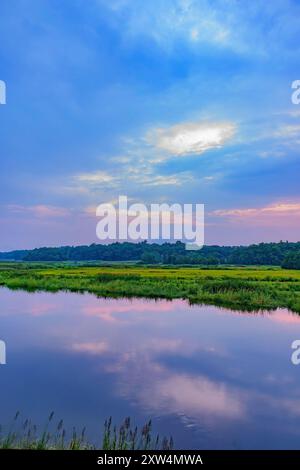 Riflessioni rosa nel Parker River Vertical Foto Stock