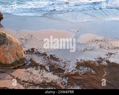 Invasione di sabbia e alghe marine su una tranquilla spiaggia in Algarve. Il riscaldamento globale e il cambiamento climatico. Foto Stock