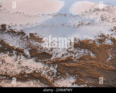 Invasione di sabbia e alghe marine su una spiaggia tranquilla. Il riscaldamento globale e il cambiamento climatico. Foto Stock