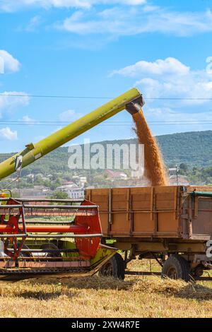 La moderna mietitrebbia scarica la granella nel rimorchio degli autocarri nelle giornate estive assolate. Foto Stock
