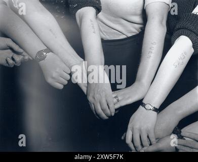 Le donne ebree liberate dal lavoro forzato a Mehlteuer mostrano i numeri dei prigionieri tatuati sulle loro braccia Foto Stock