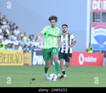 Funchal, Portogallo. 17 agosto 2024. CD Nacional - Sporting CP, dal 2° round della Portugal Betclic League 2024/25, allo Stadio Madeira, TRINCÃO Helder Santos/ASpress Credit: Atlantico Press/Alamy Live News Foto Stock