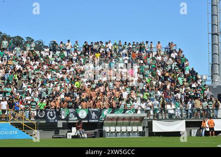 Funchal, Portogallo. 17 agosto 2024. CD Nacional - Sporting CP, dal 2° round della Portugal Betclic League 2024/25, allo Stadio Madeira, Helder Santos/ASpress Credit: Atlantico Press/Alamy Live News Foto Stock