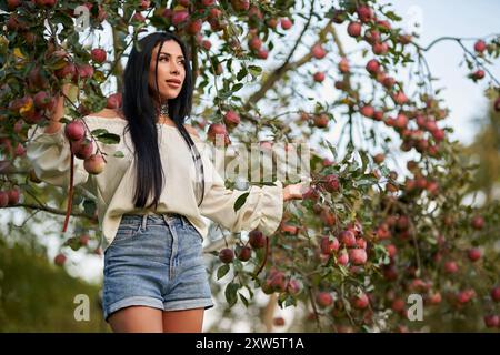 Bruna dai capelli lunghi che cammina nel meleto, guardando avanti. Vista ad angolo basso di una bella ragazza adulta con abbigliamento casual, posa nel giardino di mele all'inizio dell'autunno, sfondo sfocato. Concetto di mietitura. Foto Stock