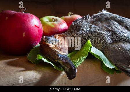 La preda del cacciatore (un whistler di tè abbattuto) giace su un tavolo da cucina in legno accanto alle mele rosse su uno sfondo scuro. Primo piano. Foto Stock