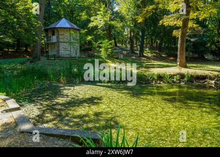 Splendida vista di una piccola casa in legno circondata da alberi verdi. Foto Stock