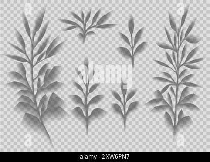 Set vettoriale di ombre trasparenti di steli con fogliame isolate dallo sfondo. Raccolta di ramoscelli clipart con effetto sovrapposizione ombreggiatura foglie Illustrazione Vettoriale