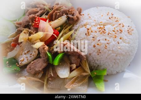 Cucina casalinga dieta sana e bilanciata. Mescolare il manzo fritto e il riso su un piatto sul tavolo. Cibo asiatico. Cucina orientale. Foto Stock