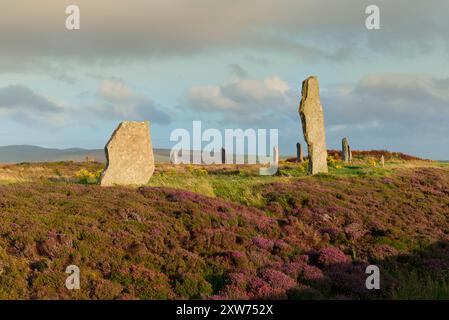 Anello del cerchio di pietre di Brodgar a fine estate, Isole Orcadi Foto Stock