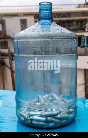 bulbi vuoti di protossido di azoto raccolti dalla strada per il riciclaggio, noti anche come gas ridendo o droga ricreativa hippie crack Foto Stock