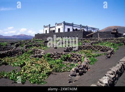 La Geria cantina e vigneti. La Geria, Lanzarote, Isole Canarie, Spagna. Foto Stock