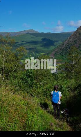 Dyfi Forest - percorso a piedi Foel Friog e parte della rete nazionale della foresta per il Galles con la collina Pen y Bryn con vista su Cader Idris. Foto Stock