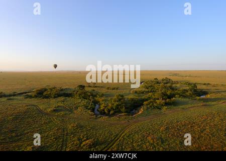 Un bellissimo giro in mongolfiera di prima mattina sul Masai Mara in Kenya Foto Stock