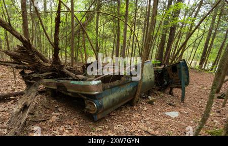 Una vecchia auto che sta marciando e arrugginendosi lentamente nella foresta che circonda il lago Jordan, nel North Carolina. Foto Stock