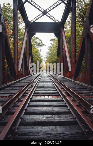 Binari ferroviari che portano alla foresta nel New Hampshire Foto Stock