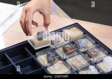 La studentessa studia la raccolta di rocce e minerali. Scuola e apprendimento. Risorse utili. Giovane geologo. Foto Stock