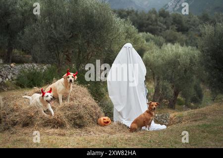 Cani in ambientazione Halloween. Due Labrador con corna del diavolo e una mischia accanto a un bianco strato fantasma in un paesaggio rurale, circondato da ulivi Foto Stock