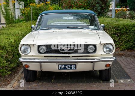 Medemblik, Paesi Bassi, 10.08.2024, Vista frontale dell'iconica muscle car americana Ford Mustang 1966 di prima generazione Foto Stock