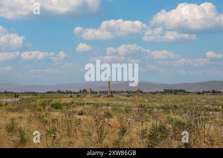 Rovine del Palazzo Bar-e AAM presso l'antica Pasargadae -shiraz- Iran Foto Stock