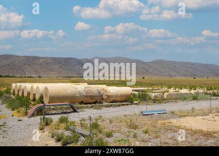 Rovine del Palazzo Bar-e AAM presso l'antica Pasargadae -shiraz- Iran Foto Stock