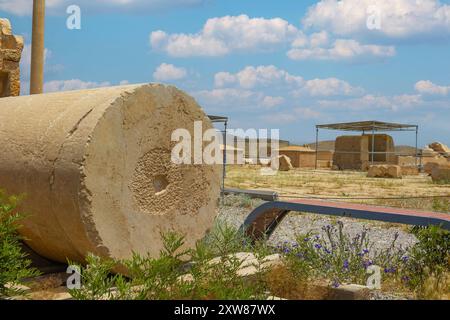 Rovine del Palazzo Bar-e AAM presso l'antica Pasargadae -shiraz- Iran Foto Stock