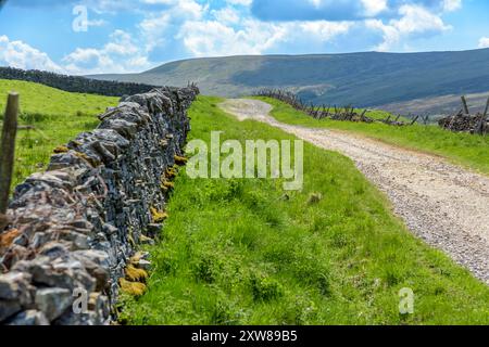 Un sentiero di ghiaia si snoda su una collina nelle Yorkshire Dales. Un muro di pietra corre lungo il lato dell'antica strada. Foto Stock