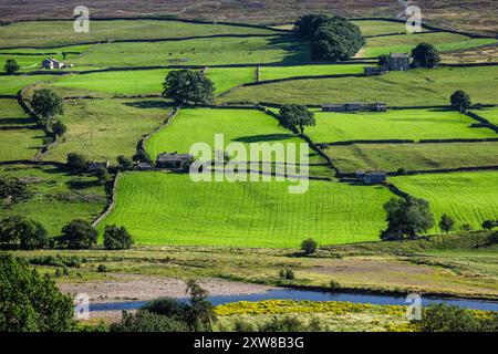 Il fiume Swale a Reeth a Swaledale, Yorkshire Dales National Park, North Yorkshire Foto Stock