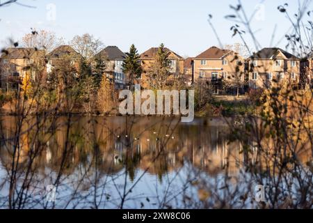 Le case suburbane illuminate dal tramonto si riflettono su un tranquillo laghetto, incorniciato da rami autunnali e oche. Presa a Toronto, Canada. Foto Stock