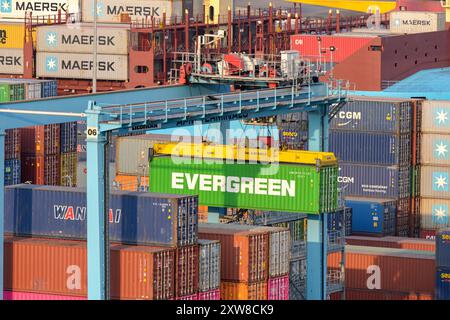 Puerto Quetzal, Guatemala - 19 gennaio 2024: Gru che solleva un container Evergreen nel terminal container del porto marittimo principale del paese. Foto Stock