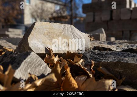 Roccia calcarea illuminata dal sole accoccolata tra foglie secche d'autunno - sfondo urbano sfocato. Presa a Toronto, Canada. Foto Stock