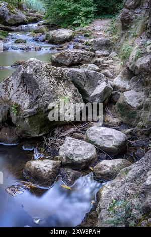 Rocce sulla riva del fiume della gola di Tureni, un'area selvaggia in Transilvania Foto Stock