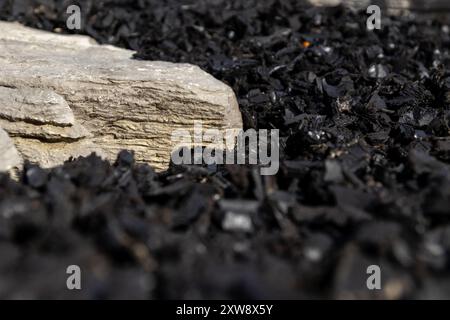 Primo piano di una roccia sedimentaria pallida giustapposta a scuri frammenti di carbone cristallino. Presa a Toronto, Canada. Foto Stock