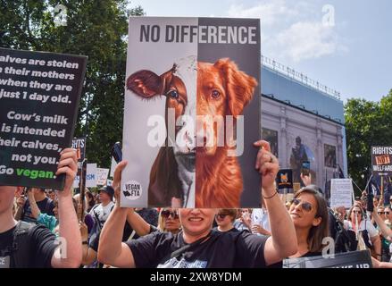 Londra, Regno Unito. 17 agosto 2024. Gli attivisti per i diritti degli animali sono partiti a Marble Arch durante la National Animal Rights March nel centro di Londra. La protesta annuale evidenzia la sofferenza e la morte di miliardi di animali in tutti i settori dell'attività umana, lotta per la liberazione degli animali e per la fine dello sfruttamento animale, e promuove il veganismo e uno stile di vita senza crudeltà. Crediti: Vuk Valcic/Alamy Live News Foto Stock