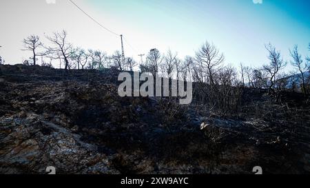 L'incendio scoppiato sul monte Yamanlar a Smirne il 15 agosto, si diffuse su un'ampia area a causa dell'effetto del vento. L'incendio ha colpito anche le aree residenziali e industriali. 17 case sono state bruciate nell'incendio, 105 case sono state evacuate. sono stati evacuati anche 44 posti di lavoro. L'incendio, che ha causato l'evacuazione di 3 quartieri, ha colpito un'area di ​​approximately 1600 ettari. Anche se non c'è stata alcuna perdita di vite umane nell'incendio, alcuni animali nei villaggi sono morti. L'incendio a Smirne Yamanlar fu messo sotto controllo e si estinse. Foto Stock