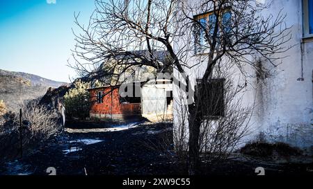 L'incendio scoppiato sul monte Yamanlar a Smirne il 15 agosto, si diffuse su un'ampia area a causa dell'effetto del vento. L'incendio ha colpito anche le aree residenziali e industriali. 17 case sono state bruciate nell'incendio, 105 case sono state evacuate. sono stati evacuati anche 44 posti di lavoro. L'incendio, che ha causato l'evacuazione di 3 quartieri, ha colpito un'area di ​​approximately 1600 ettari. Anche se non c'è stata alcuna perdita di vite umane nell'incendio, alcuni animali nei villaggi sono morti. L'incendio a Smirne Yamanlar fu messo sotto controllo e si estinse. Foto Stock