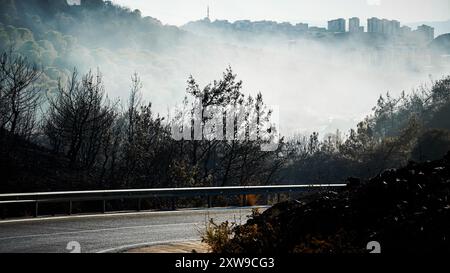 L'incendio scoppiato sul monte Yamanlar a Smirne il 15 agosto, si diffuse su un'ampia area a causa dell'effetto del vento. L'incendio ha colpito anche le aree residenziali e industriali. 17 case sono state bruciate nell'incendio, 105 case sono state evacuate. sono stati evacuati anche 44 posti di lavoro. L'incendio, che ha causato l'evacuazione di 3 quartieri, ha colpito un'area di ​​approximately 1600 ettari. Anche se non c'è stata alcuna perdita di vite umane nell'incendio, alcuni animali nei villaggi sono morti. L'incendio a Smirne Yamanlar fu messo sotto controllo e si estinse. Foto Stock