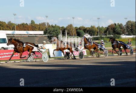 Impression des Deutschland Traber-Derby auf der Rennbahn Berlin-Mariendorf. *** Impressione del German Trotting Derby all'ippodromo Mariendorf di Berlino Foto Stock